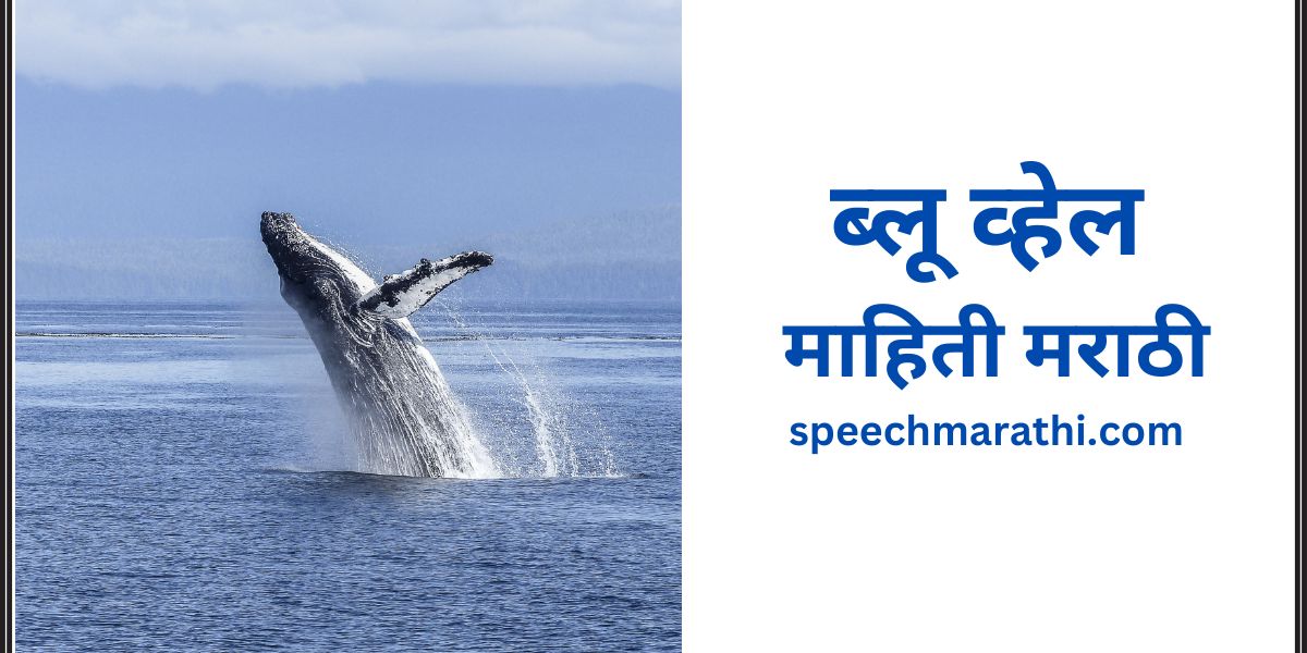 निळा देवमासा माहिती मराठी/ Blue Whale Information Marathi