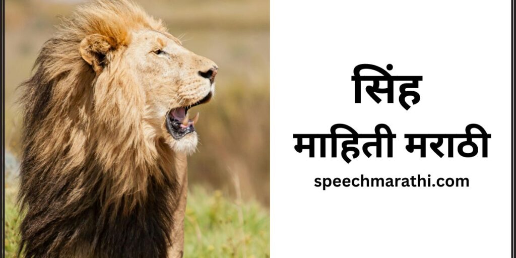 lion-information-in-marathi