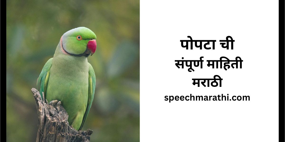 parrot information in marathi