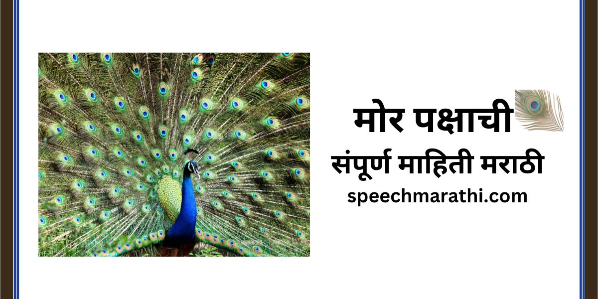 peacock information in marathi