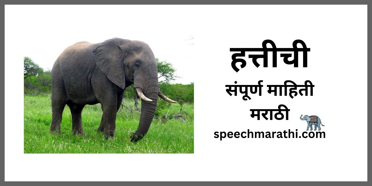 elephant information in marathi mahiti