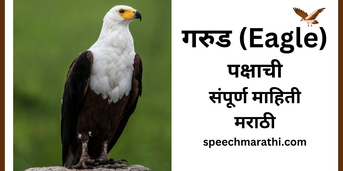 eagle information in marathi